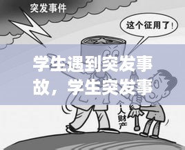 學(xué)生遇到突發(fā)事故，學(xué)生突發(fā)事件的處理原則 