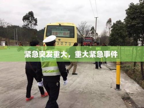 緊急突發(fā)重大，重大緊急事件 