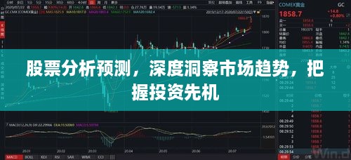 股票分析預(yù)測，深度洞察市場趨勢，把握投資先機(jī)