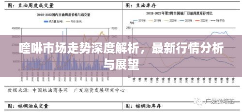 喹啉市場(chǎng)走勢(shì)深度解析，最新行情分析與展望