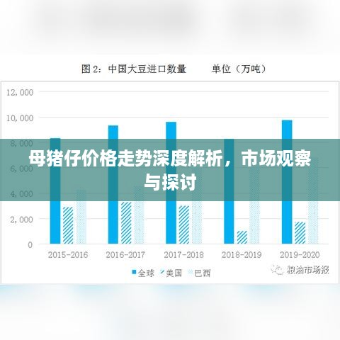 母豬仔價(jià)格走勢(shì)深度解析，市場(chǎng)觀察與探討