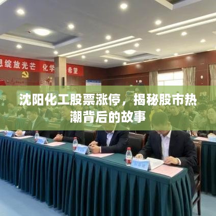 沈陽(yáng)化工股票漲停，揭秘股市熱潮背后的故事