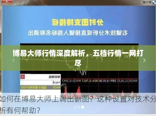博易大師行情深度解析，五檔行情一網(wǎng)打盡