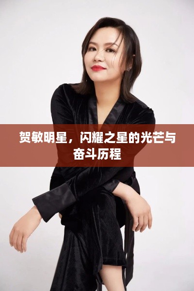 賀敏明星，閃耀之星的光芒與奮斗歷程