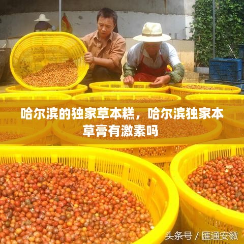 哈爾濱的獨(dú)家草本糕，哈爾濱獨(dú)家本草膏有激素嗎 