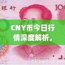 CNY幣今日行情深度解析，最新價格動態(tài)一網(wǎng)打盡！