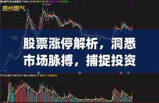 股票漲停解析，洞悉市場脈搏，捕捉投資黃金機會