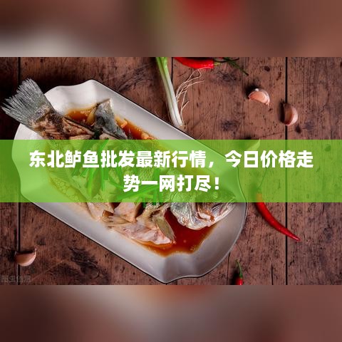 東北鱸魚批發(fā)最新行情，今日價(jià)格走勢(shì)一網(wǎng)打盡！