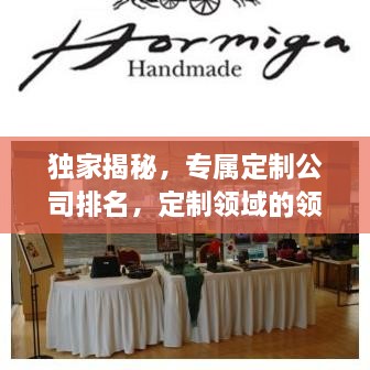 獨家揭秘，專屬定制公司排名，定制領域的領軍者