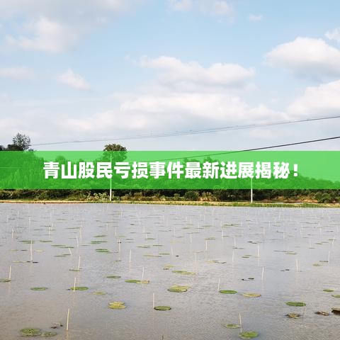 青山股民虧損事件最新進展揭秘！
