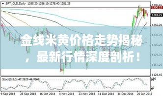金線(xiàn)米黃價(jià)格走勢(shì)揭秘，最新行情深度剖析！