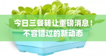 今日三餐轉(zhuǎn)讓重磅消息！不容錯(cuò)過(guò)的新動(dòng)態(tài)