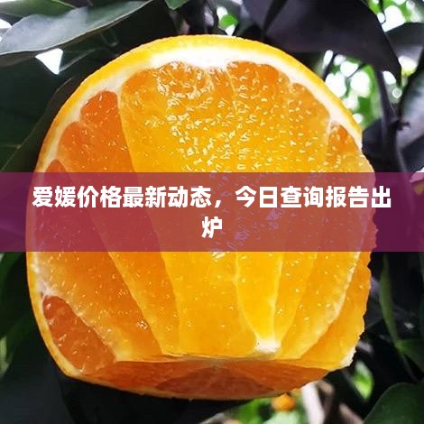 愛媛價格最新動態(tài)，今日查詢報告出爐