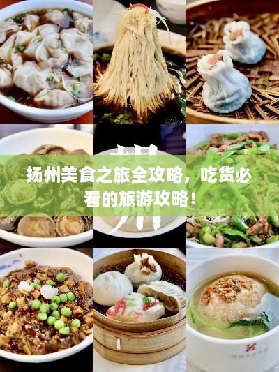 揚(yáng)州美食之旅全攻略，吃貨必看的旅游攻略！