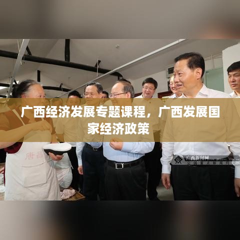 廣西經(jīng)濟發(fā)展專題課程，廣西發(fā)展國家經(jīng)濟政策 