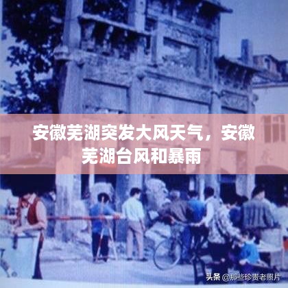 安徽蕪湖突發(fā)大風(fēng)天氣，安徽蕪湖臺風(fēng)和暴雨 