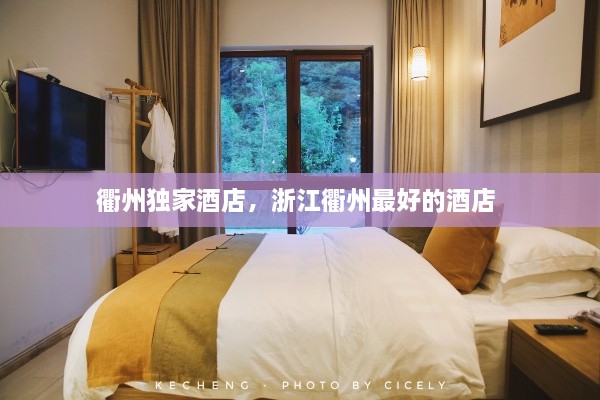 衢州獨(dú)家酒店，浙江衢州最好的酒店 
