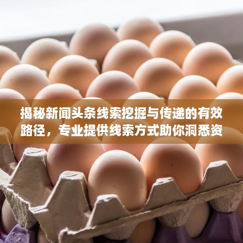 揭秘新聞頭條線索挖掘與傳遞的有效路徑，專業(yè)提供線索方式助你洞悉資訊動態(tài)