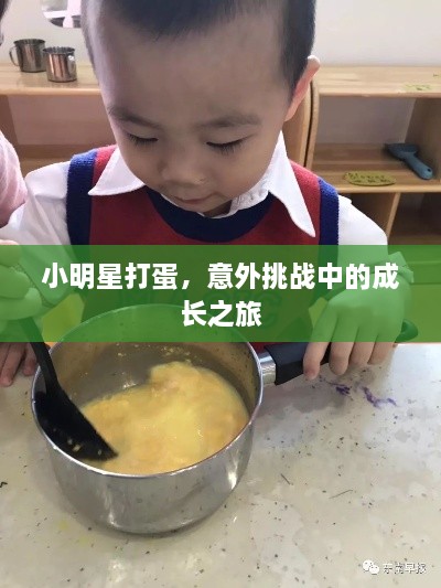 小明星打蛋，意外挑戰(zhàn)中的成長之旅
