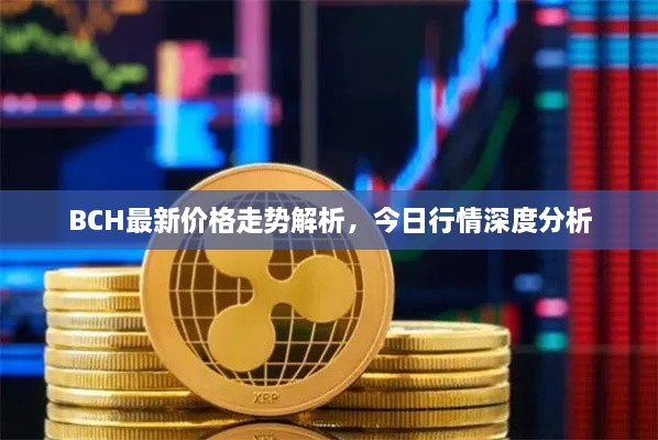 BCH最新價格走勢解析，今日行情深度分析