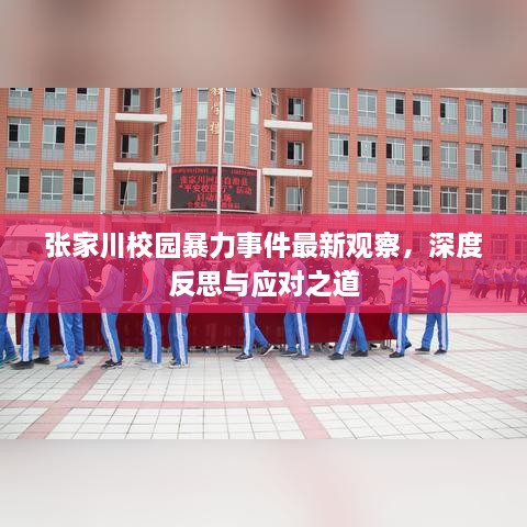 張家川校園暴力事件最新觀察，深度反思與應(yīng)對之道