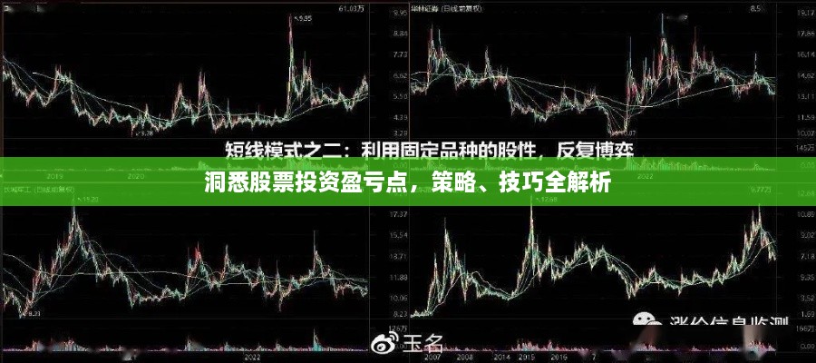 洞悉股票投資盈虧點(diǎn)，策略、技巧全解析