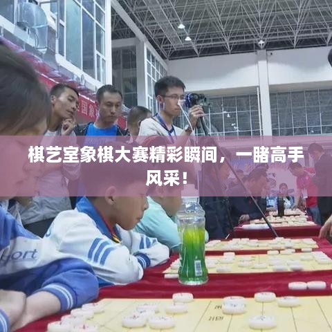 棋藝室象棋大賽精彩瞬間，一睹高手風(fēng)采！
