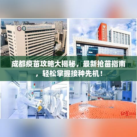 成都疫苗攻略大揭秘，最新?lián)屆缰改?，輕松掌握接種先機！
