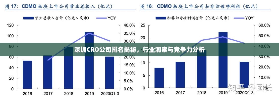 深圳CRO公司排名揭秘，行業(yè)洞察與競(jìng)爭(zhēng)力分析