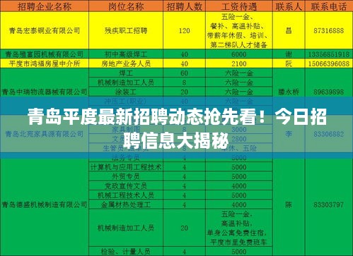 青島平度最新招聘動態(tài)搶先看！今日招聘信息大揭秘