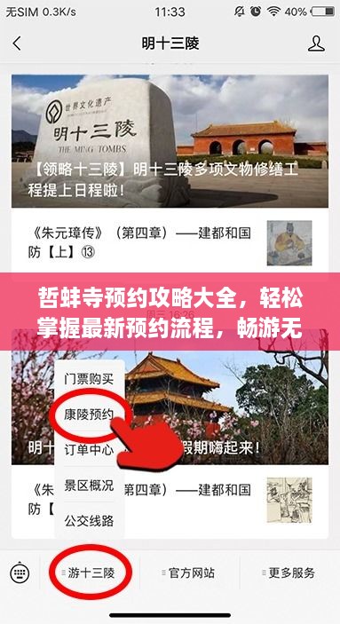 哲蚌寺預(yù)約攻略大全，輕松掌握最新預(yù)約流程，暢游無阻！