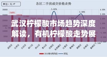 武漢檸檬酸市場趨勢深度解讀，有機檸檬酸走勢展望