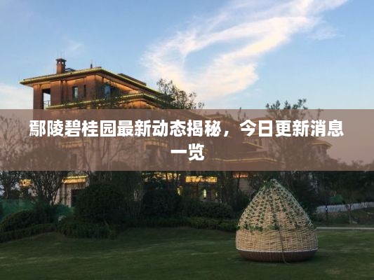 鄢陵碧桂園最新動態(tài)揭秘，今日更新消息一覽