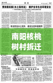 南陽(yáng)核桃樹(shù)村拆遷重磅更新，最新動(dòng)態(tài)揭秘！