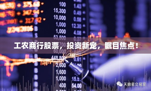 工農(nóng)商行股票，投資新寵，矚目焦點！