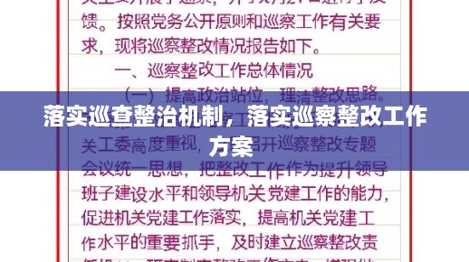 落實(shí)巡查整治機(jī)制，落實(shí)巡察整改工作方案 