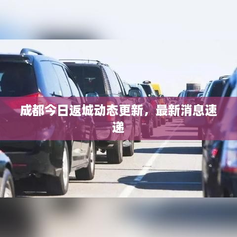 成都今日返城動態(tài)更新，最新消息速遞