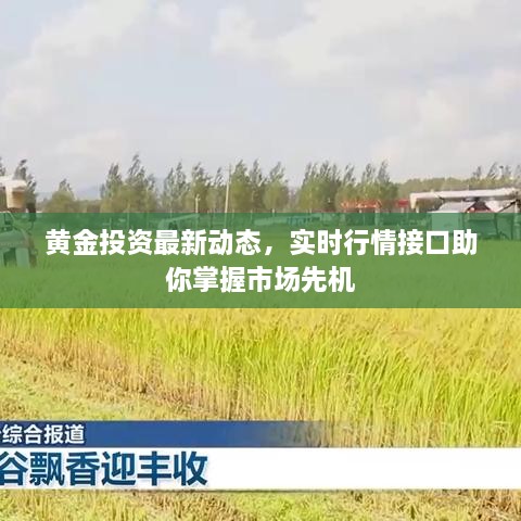 黃金投資最新動態(tài)，實時行情接口助你掌握市場先機