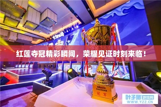 紅蓮?qiáng)Z冠精彩瞬間，榮耀見證時(shí)刻來(lái)臨！