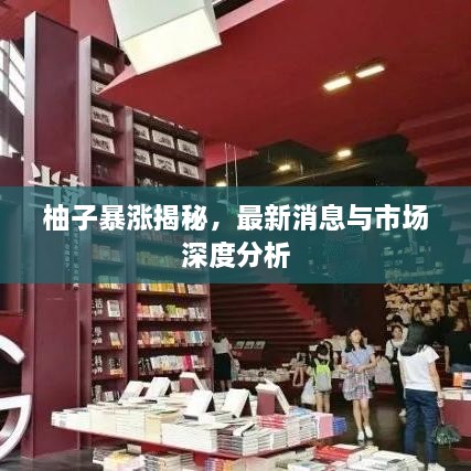 柚子暴漲揭秘，最新消息與市場深度分析