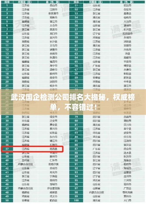 武漢國企檢測公司排名大揭秘，權(quán)威榜單，不容錯過！
