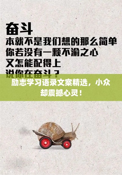 勵志學(xué)習(xí)語錄文案精選，小眾卻震撼心靈！