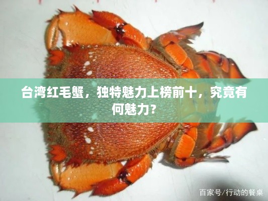 臺(tái)灣紅毛蟹，獨(dú)特魅力上榜前十，究竟有何魅力？