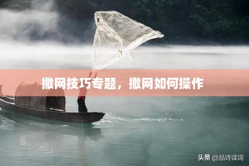 撒網技巧專題，撒網如何操作 