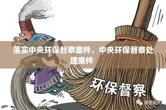 落實中央環(huán)保督察案件，中央環(huán)保督察處理案件 