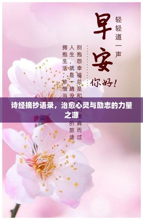 詩經(jīng)摘抄語錄，治愈心靈與勵志的力量之源
