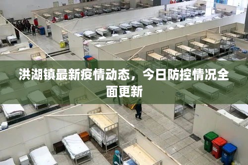 洪湖鎮(zhèn)最新疫情動態(tài)，今日防控情況全面更新
