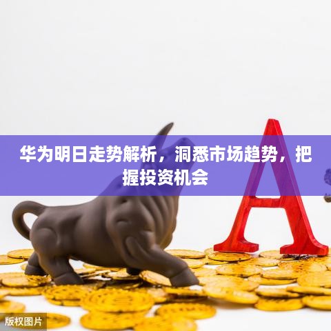 華為明日走勢解析，洞悉市場趨勢，把握投資機(jī)會
