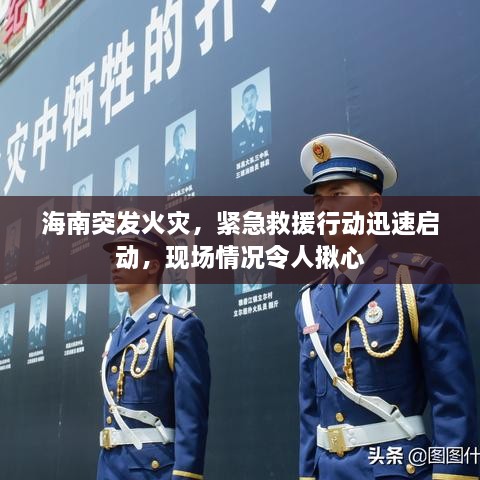 海南突發(fā)火災(zāi)，緊急救援行動(dòng)迅速啟動(dòng)，現(xiàn)場情況令人揪心