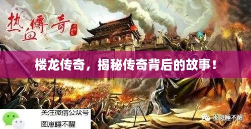 樓龍傳奇，揭秘傳奇背后的故事！